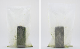 A photograph from the side project Mainwasser of the artwork some lives on earth by Dennis Haustein.