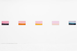 A photograph from the artistic work