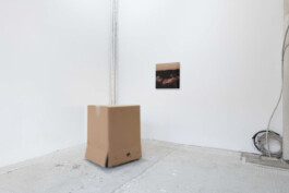 An exhibition view of the artistic work