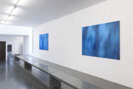 An exhibition view of the artistic work